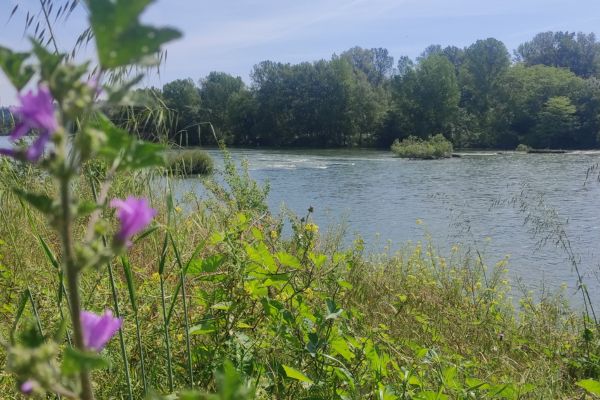 Photo reserve naturelle confluence ariège/garonne